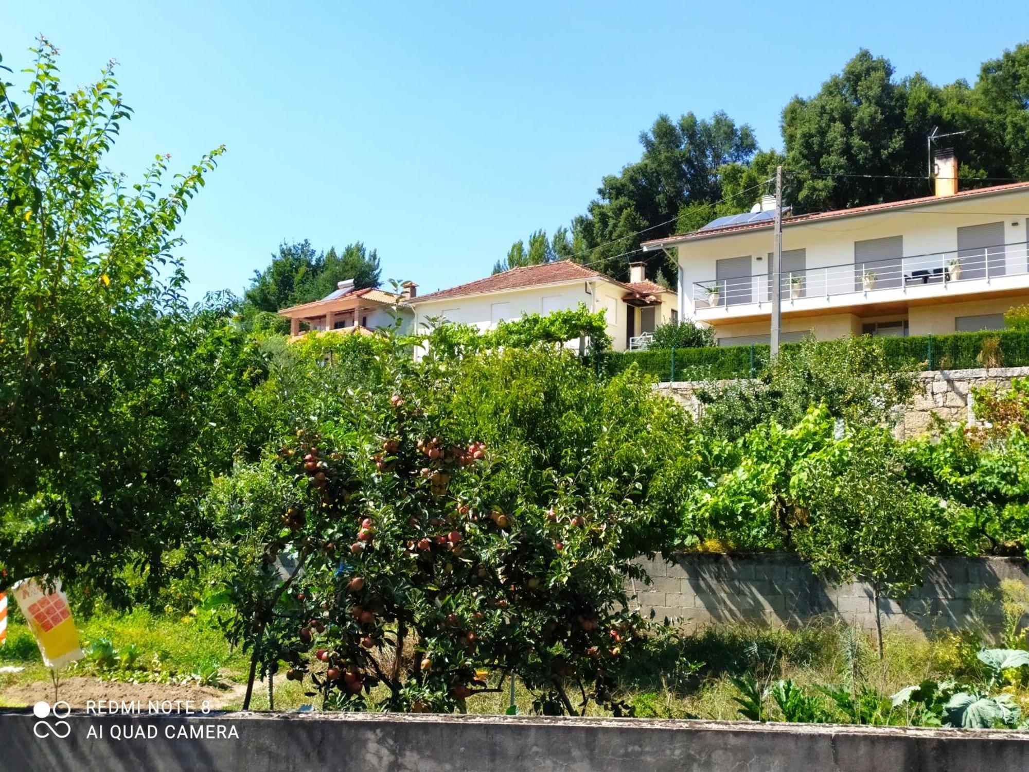 Bellavista Alojamento Arouca Zewnętrze zdjęcie